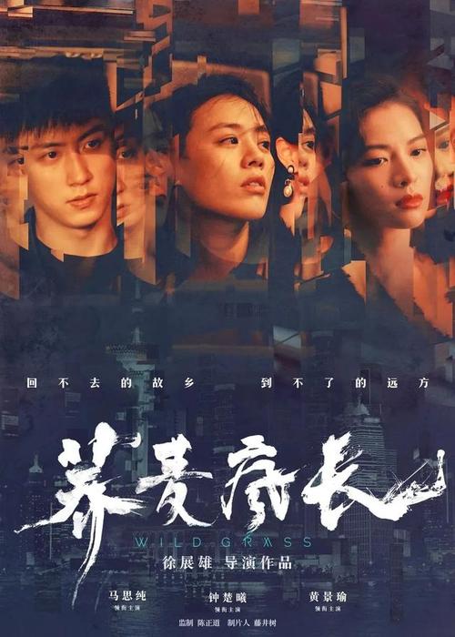 帕多瓦大学本科学位证